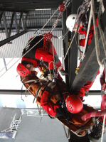 DSCF3516.jpg